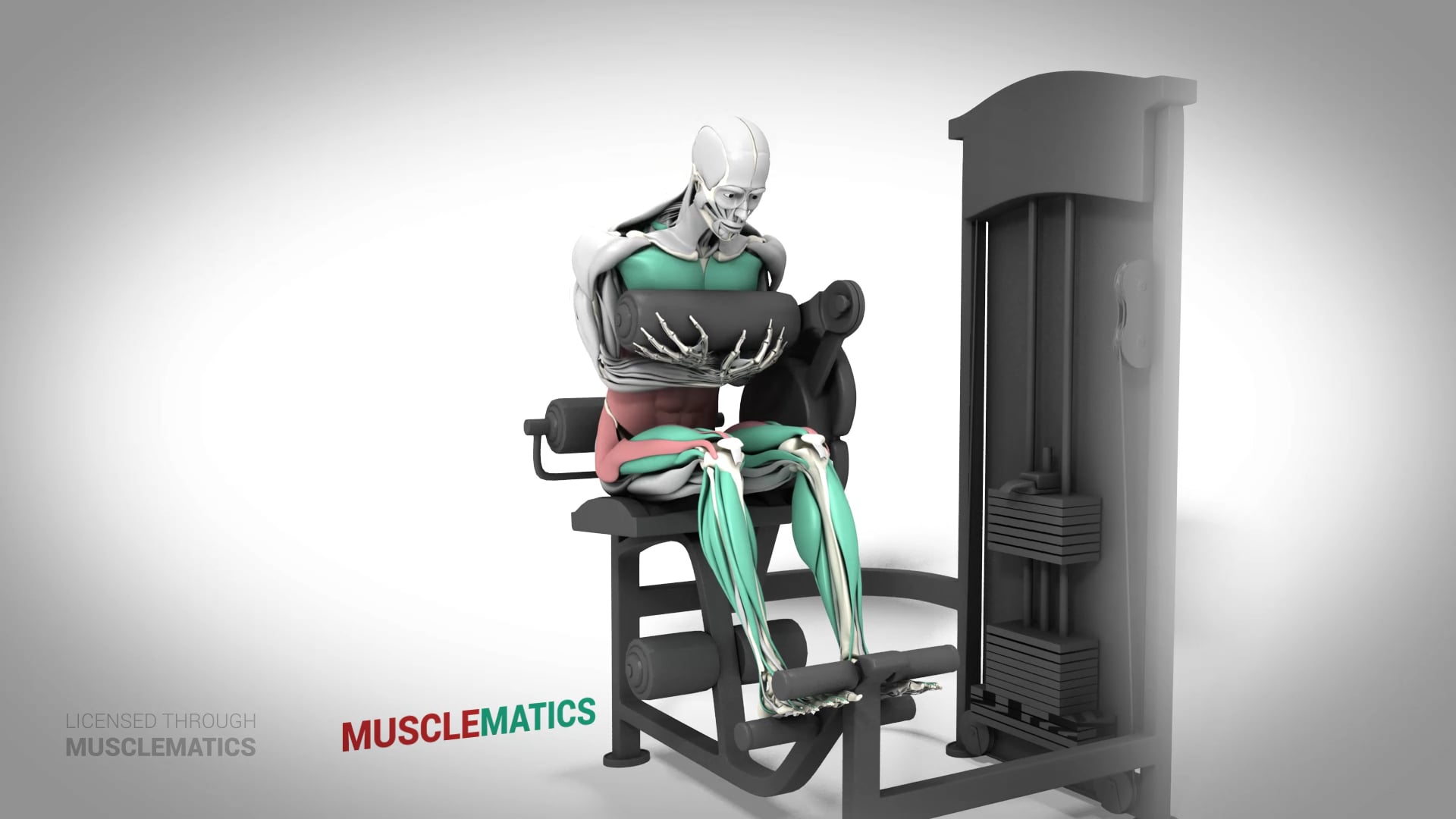 Machine Crunches - (All Views)