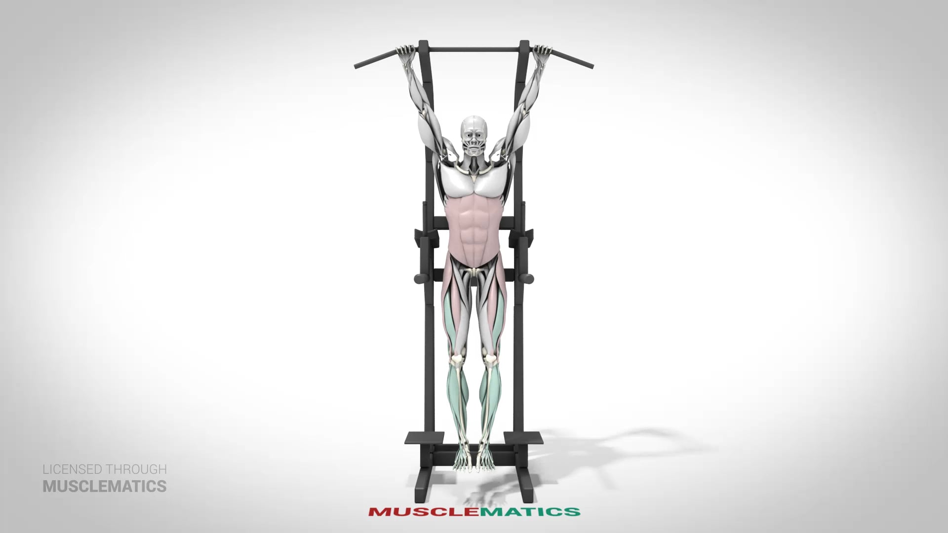 Hanging Leg Raises (Straight Leg) - (View 3)