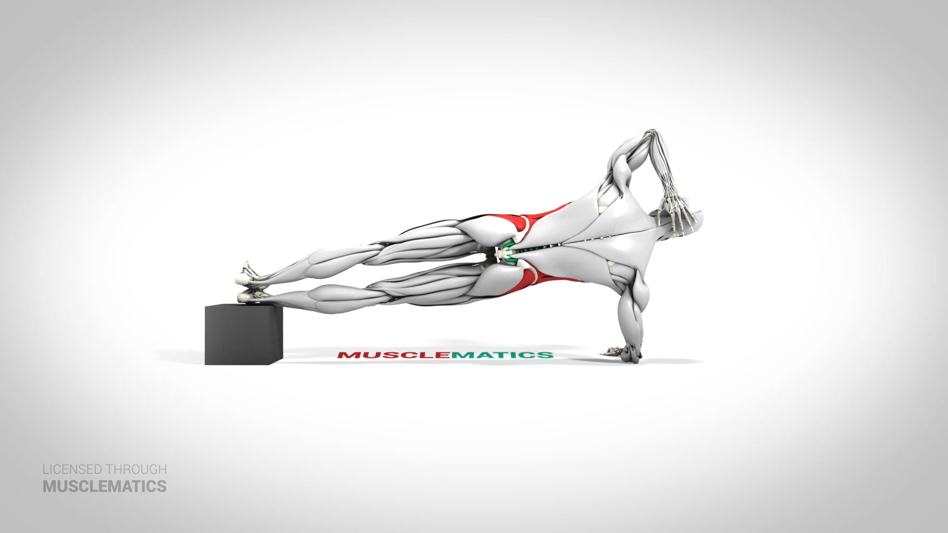 Decline Side Plank - (View 3) - LEFT