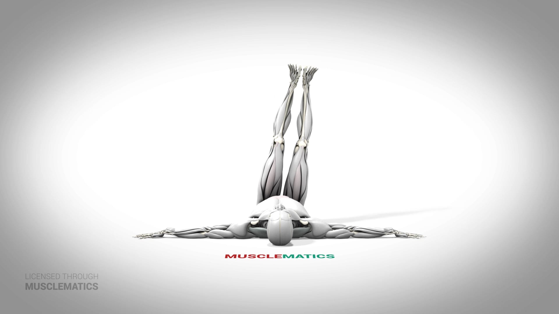 Lying Windshield Wiper - (All Views)