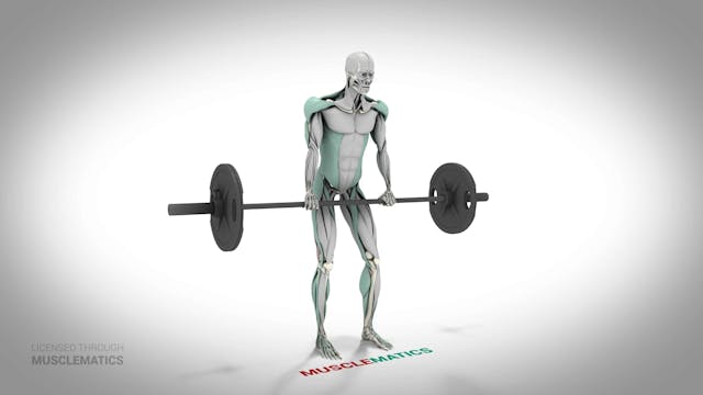 Stiff-Legged Deadlifts - (All Views)