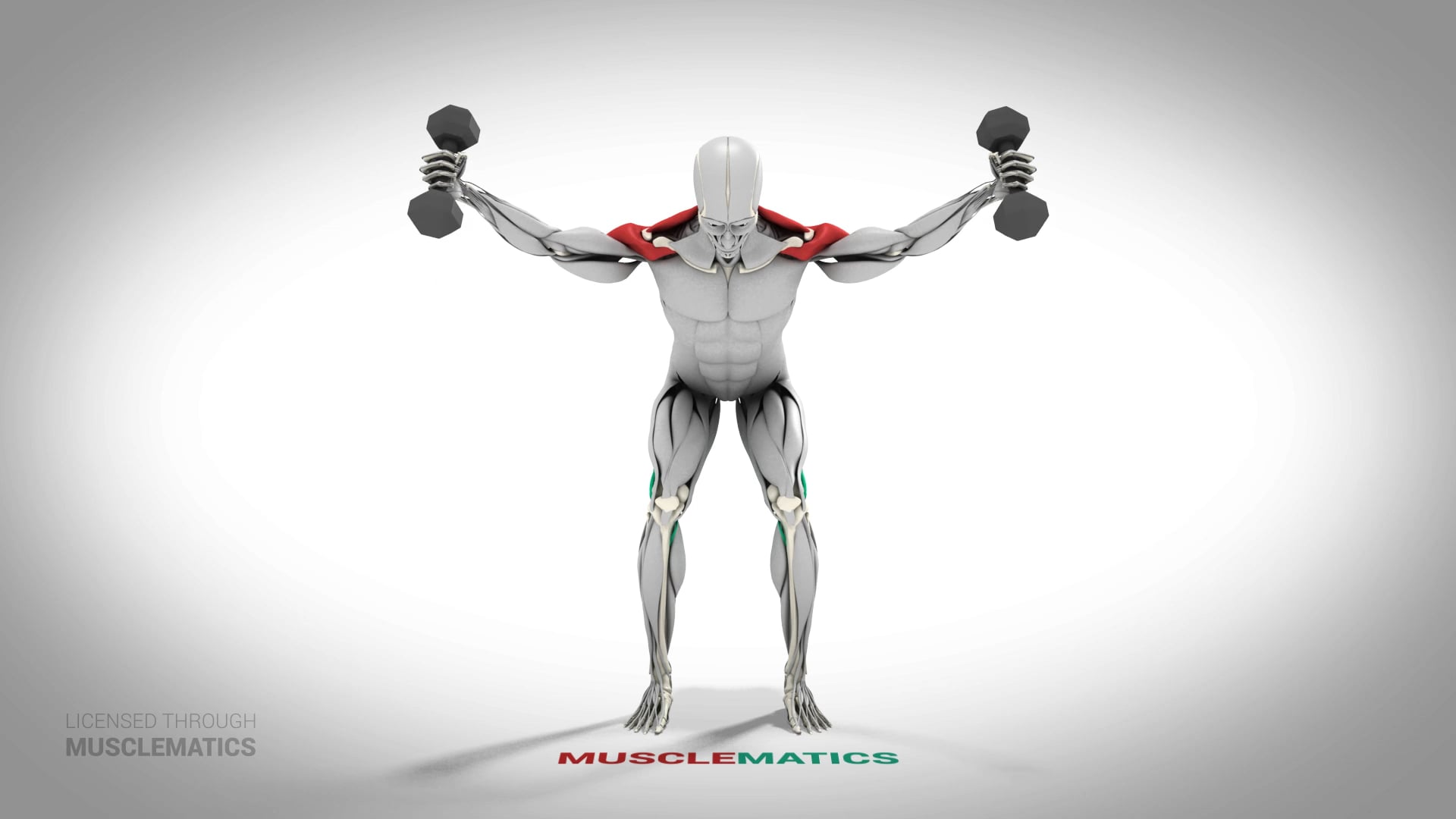 YTWL (Y) - (All Views)