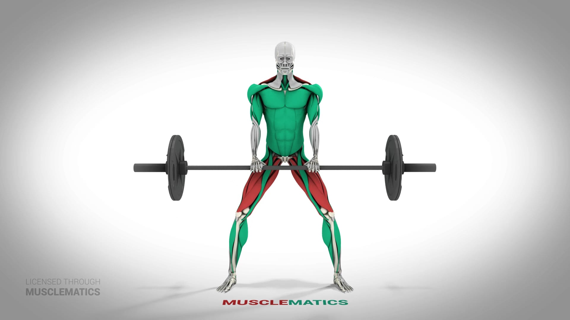 Sumo Deadlifts - (All Views)