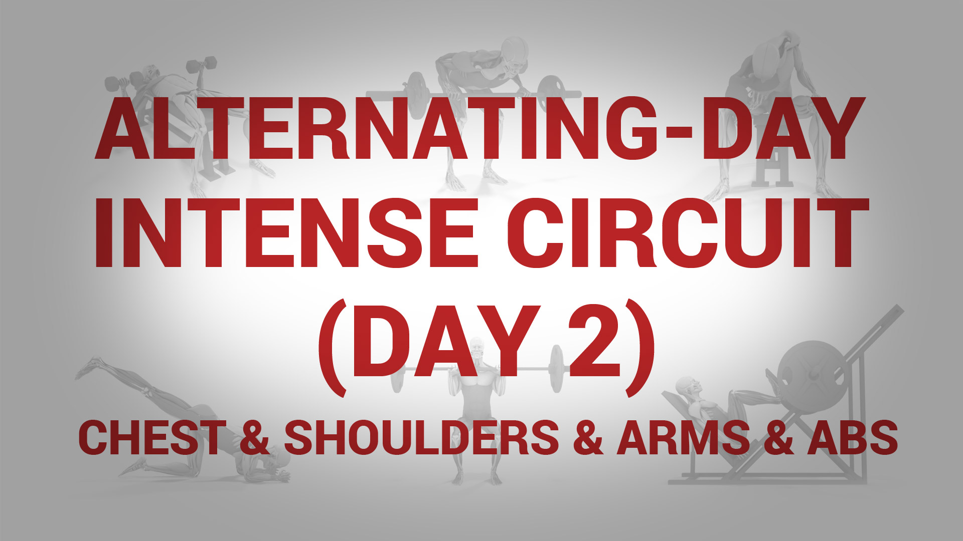 Alternating-Day Intense Circuit (Day 2) - CHEST & SHOULDERS & ARMS & ABS