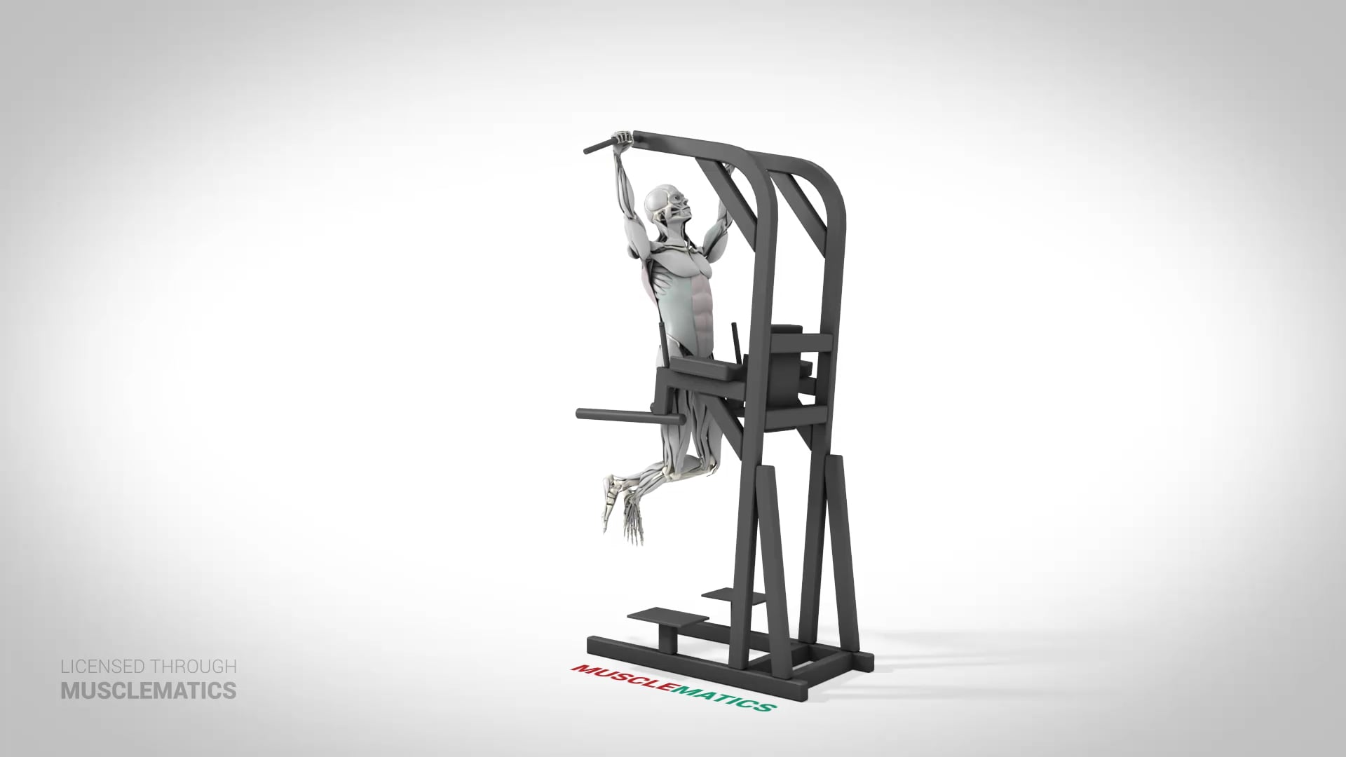 Sliding Side-To-Side Pull-Up - (View 2) - LEFT