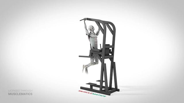 Sliding Side-To-Side Pull-Up - (View ...