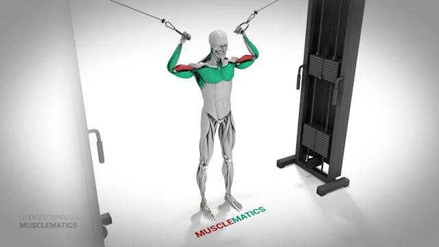 High-Pulley Curls - (All Views)