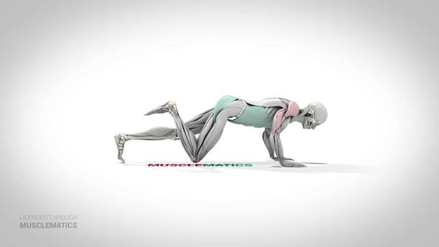 Push-Up With Hip Extension - (View 2)