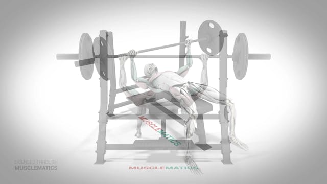 Bench Presses - (All Views)