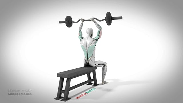 Seated E-Z Bar Triceps Extensions - (...