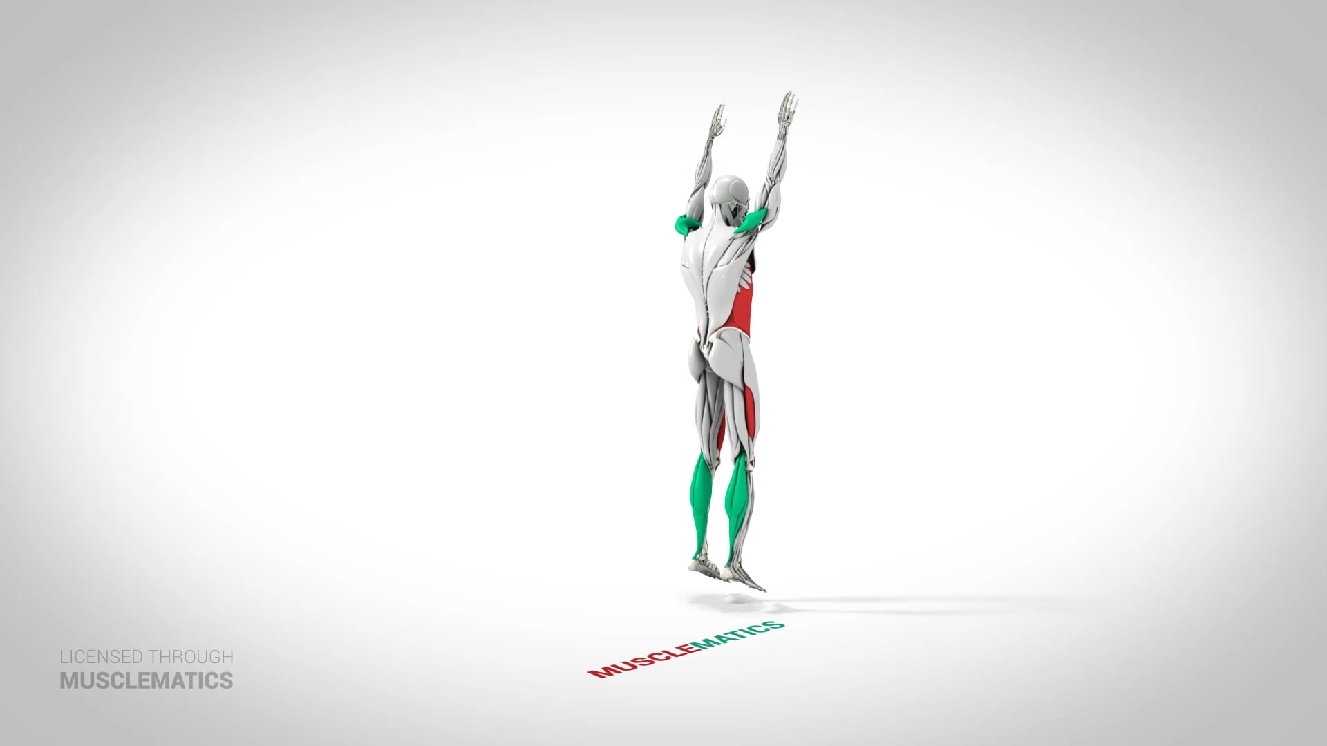 Jumping Sit-Up - (View 3)