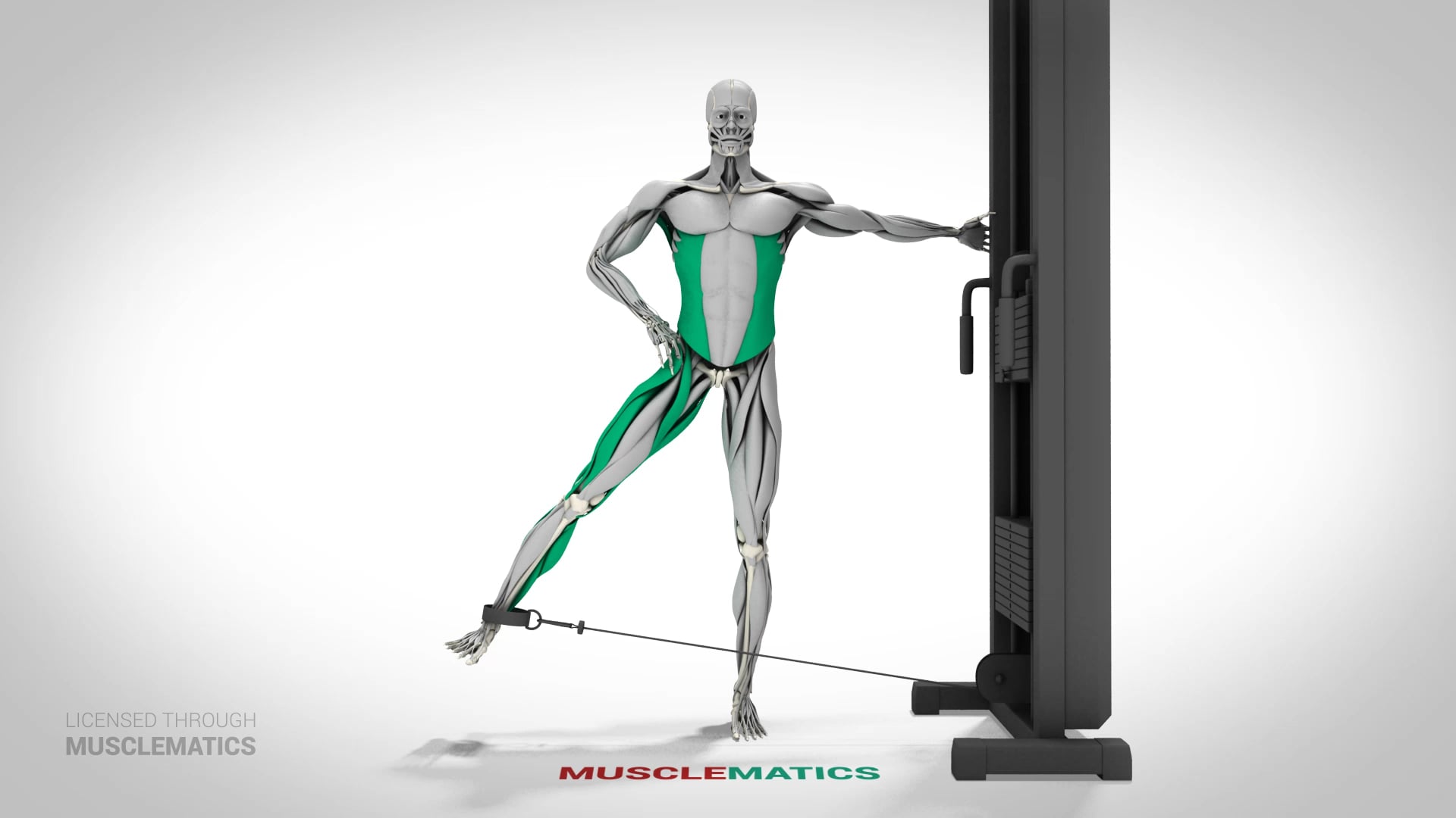 Cable Hip Abductions - (View 1)