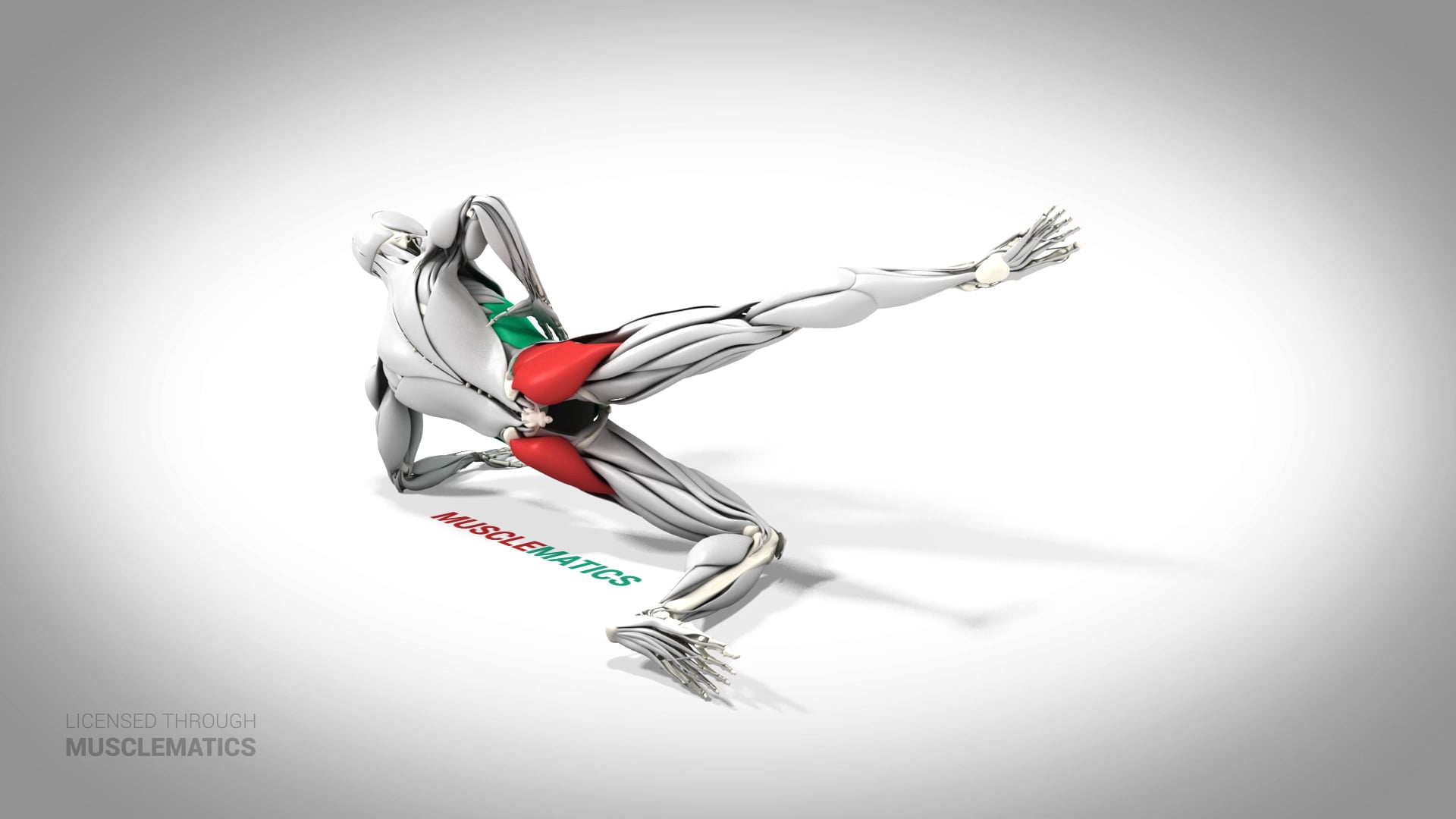 Side-Lying Hip Raise - (All Views)