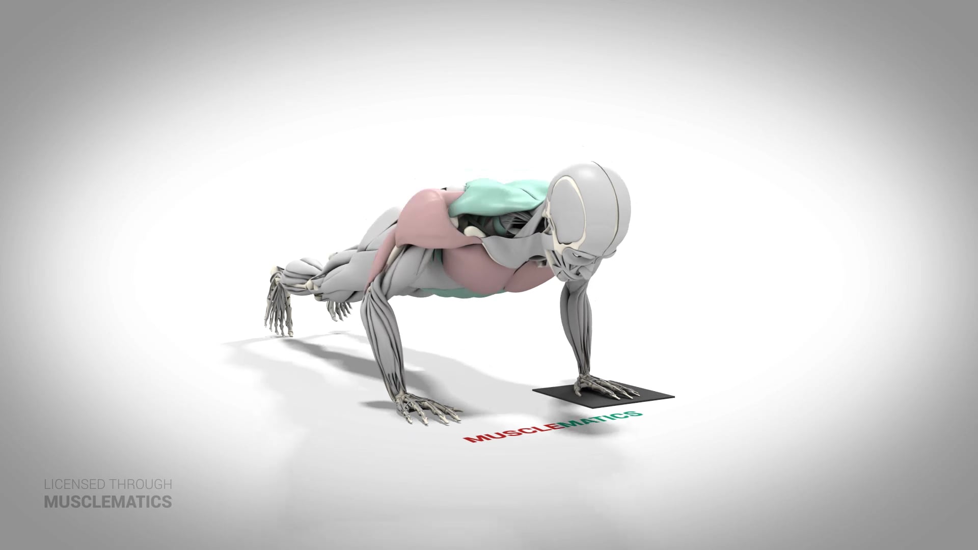 Sliding Side-To-Side Push-Up - (All Views)