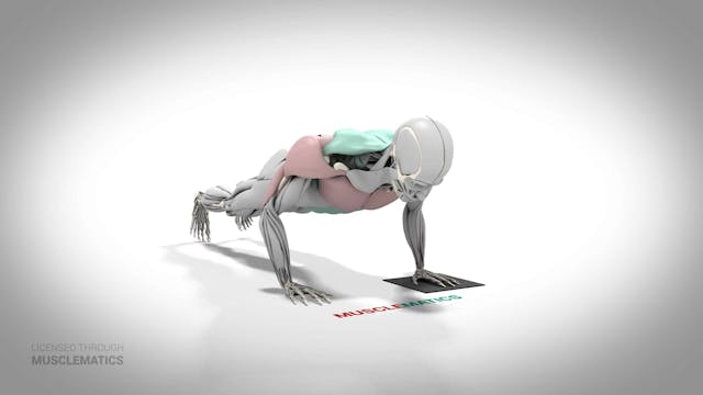 Sliding Side-To-Side Push-Up - (All V...