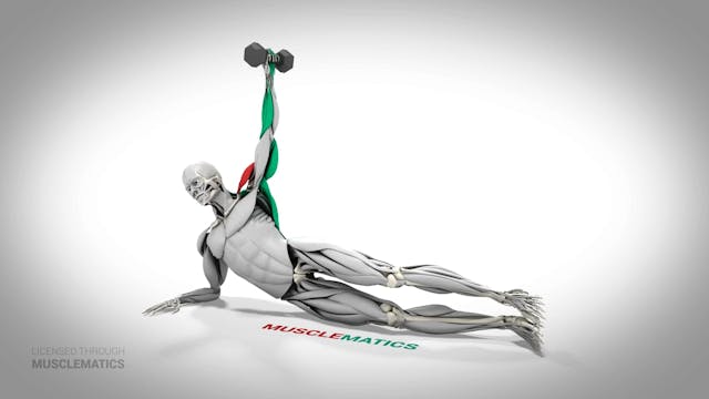 Side-Lying Lateral Raises - (All View...