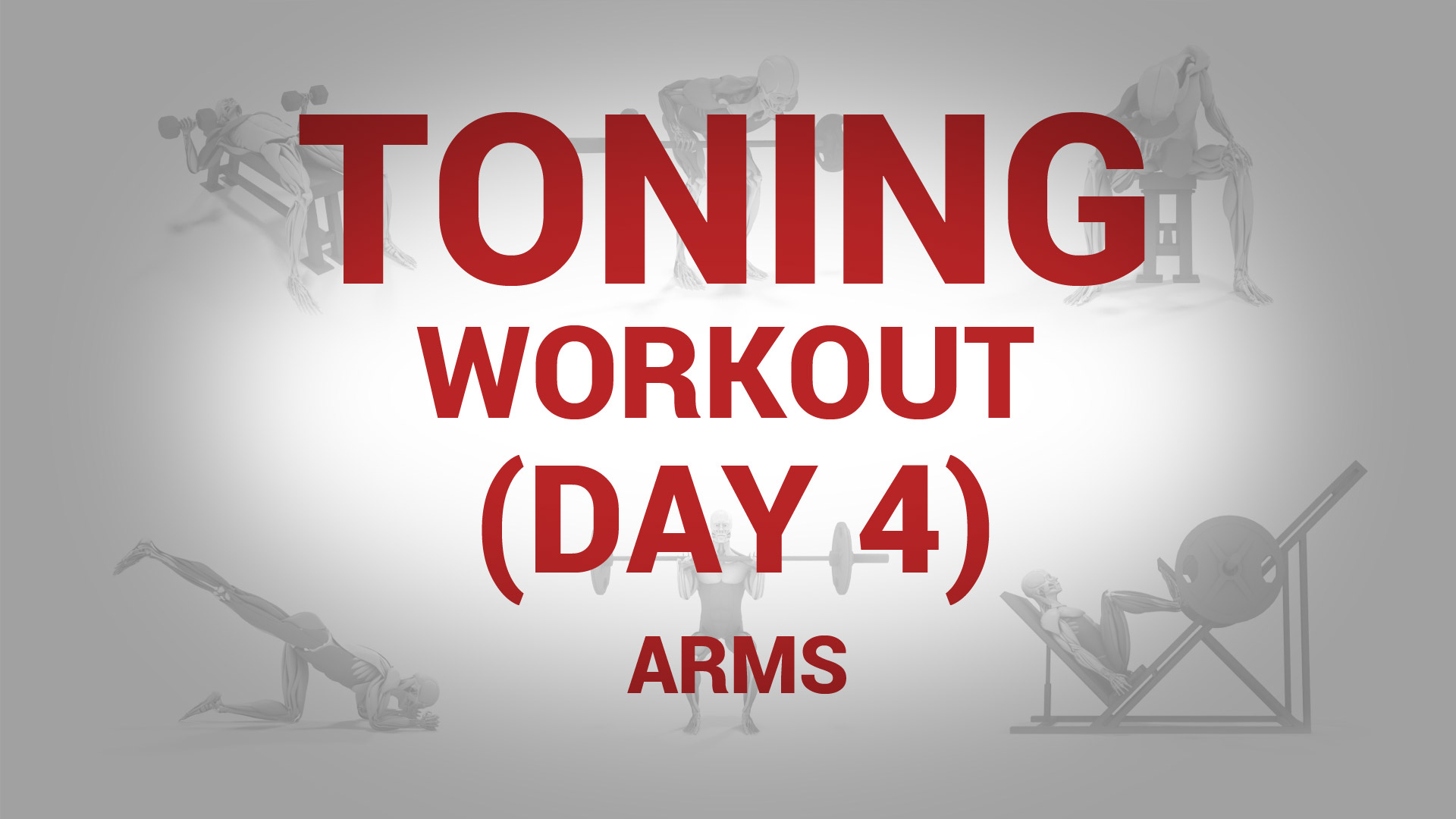 Toning Workout (Day 4) - ARMS