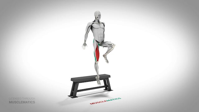 Jumping Single-Leg Box Squat - (All V...