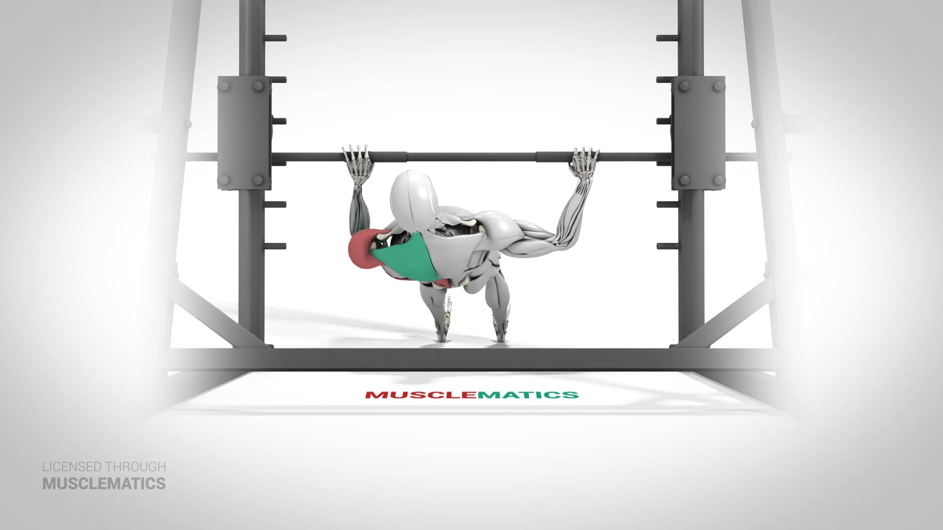 Side-To-Side Inverted Row - (View 1) - LEFT