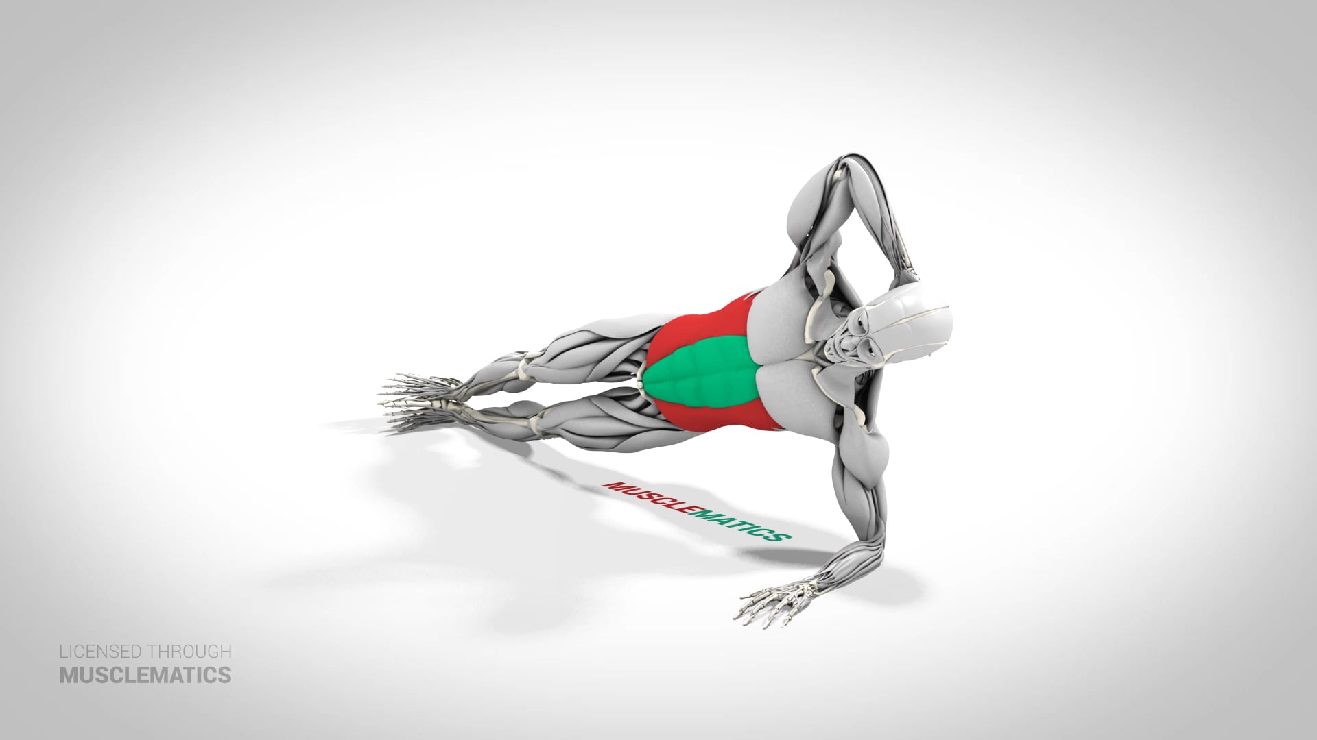 Side Plank - (View 2)