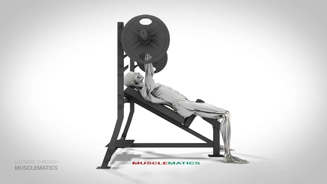 Incline Presses - (View 2)