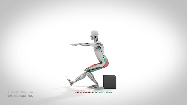 Single-Leg Low-Box Squat - (View 2) -...