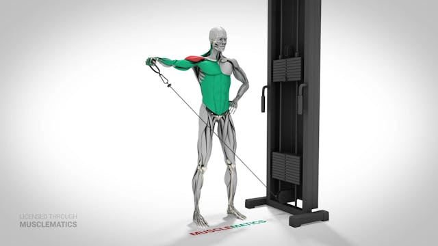 Low-Pulley Lateral Raises - (View 3)