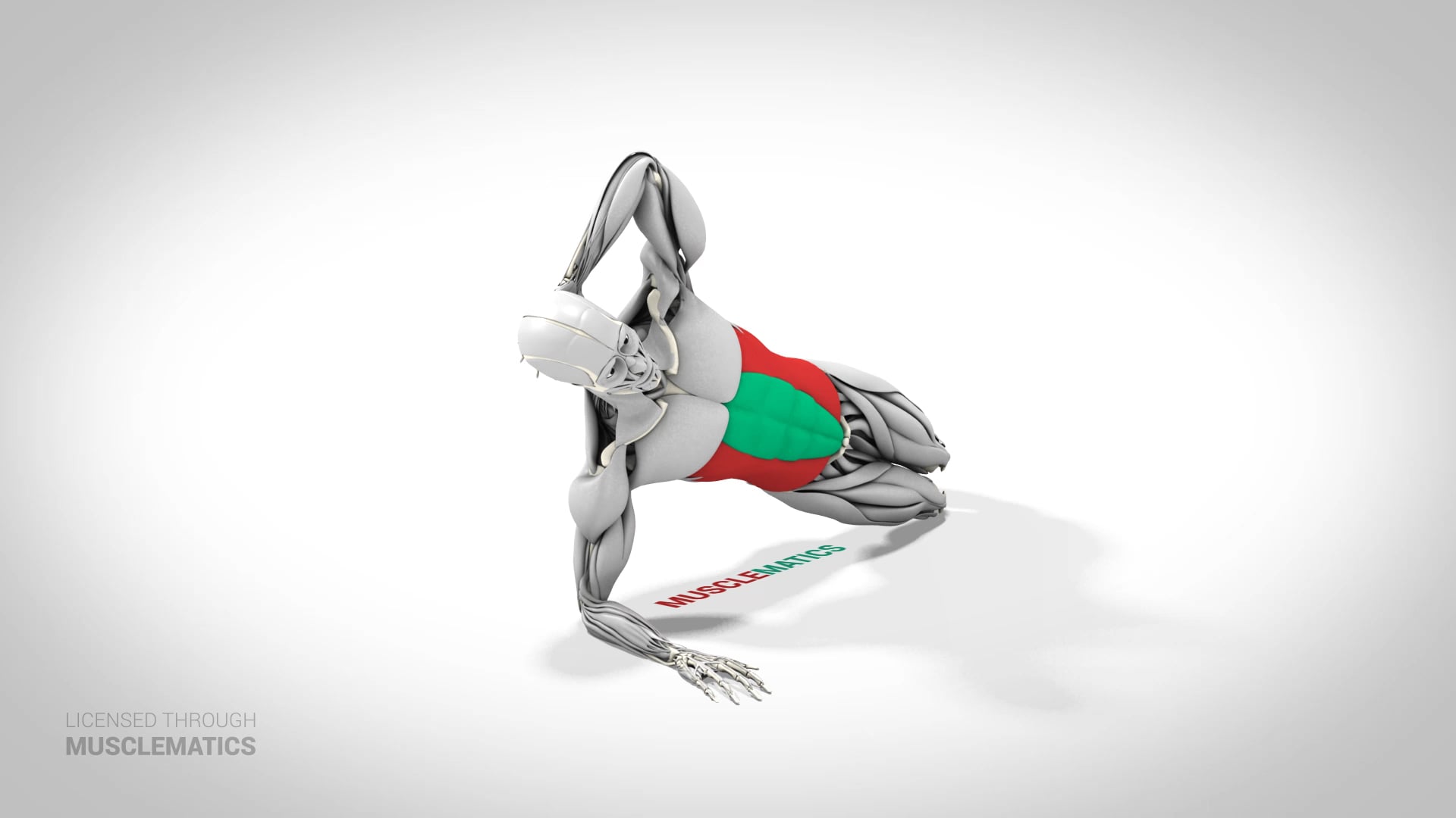 Side Plank On Knees - (View 2) - LEFT