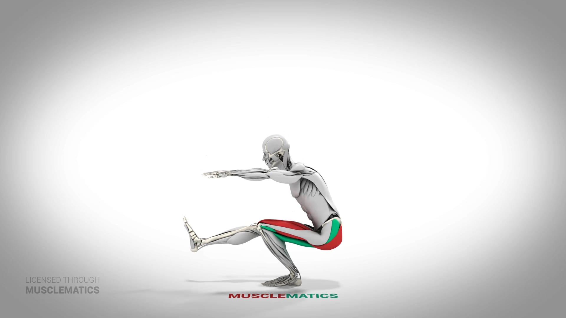 Pistol Squat - (All Views) - LEFT