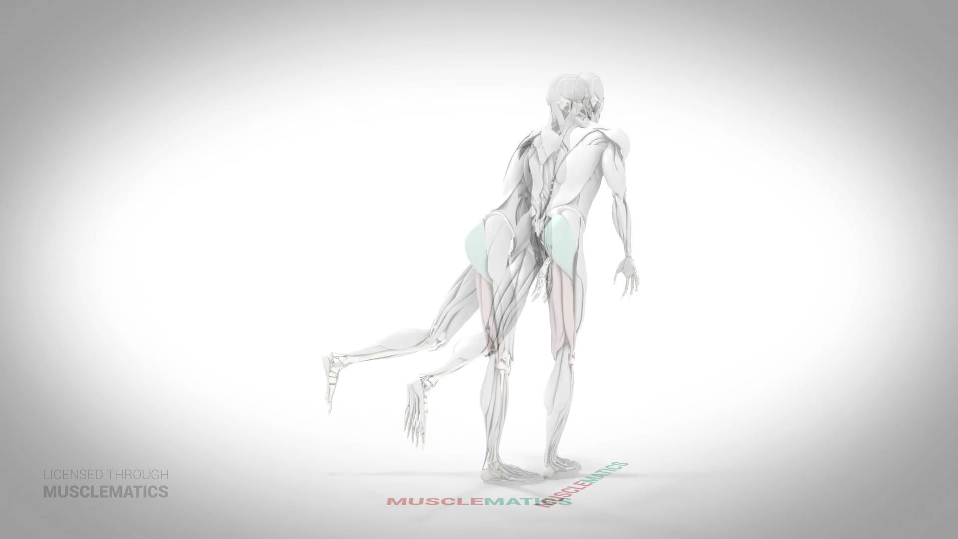 Single-Leg Romanian Deadlift - (All Views)