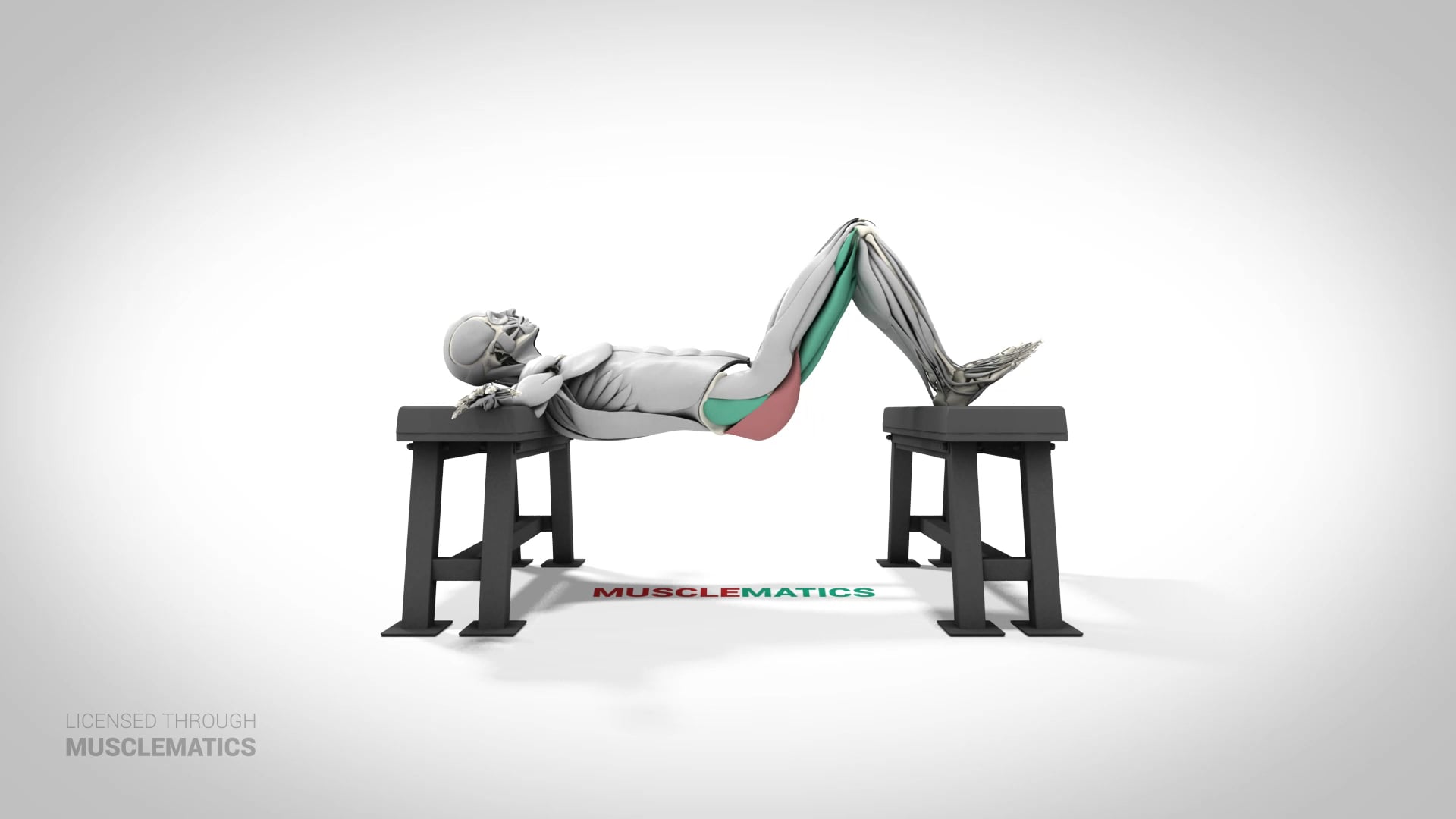 Elevated Hip Thrust - (View 1)