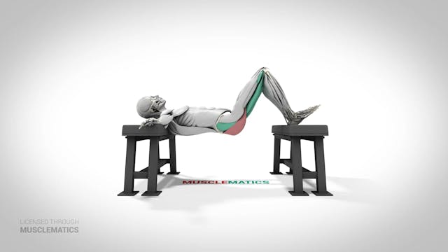 Elevated Hip Thrust - (View 1)