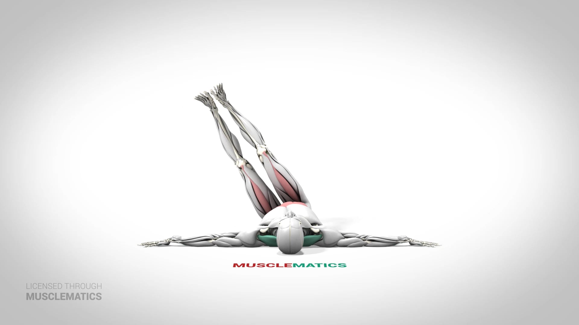 Lying Windshield Wiper - (View 3)