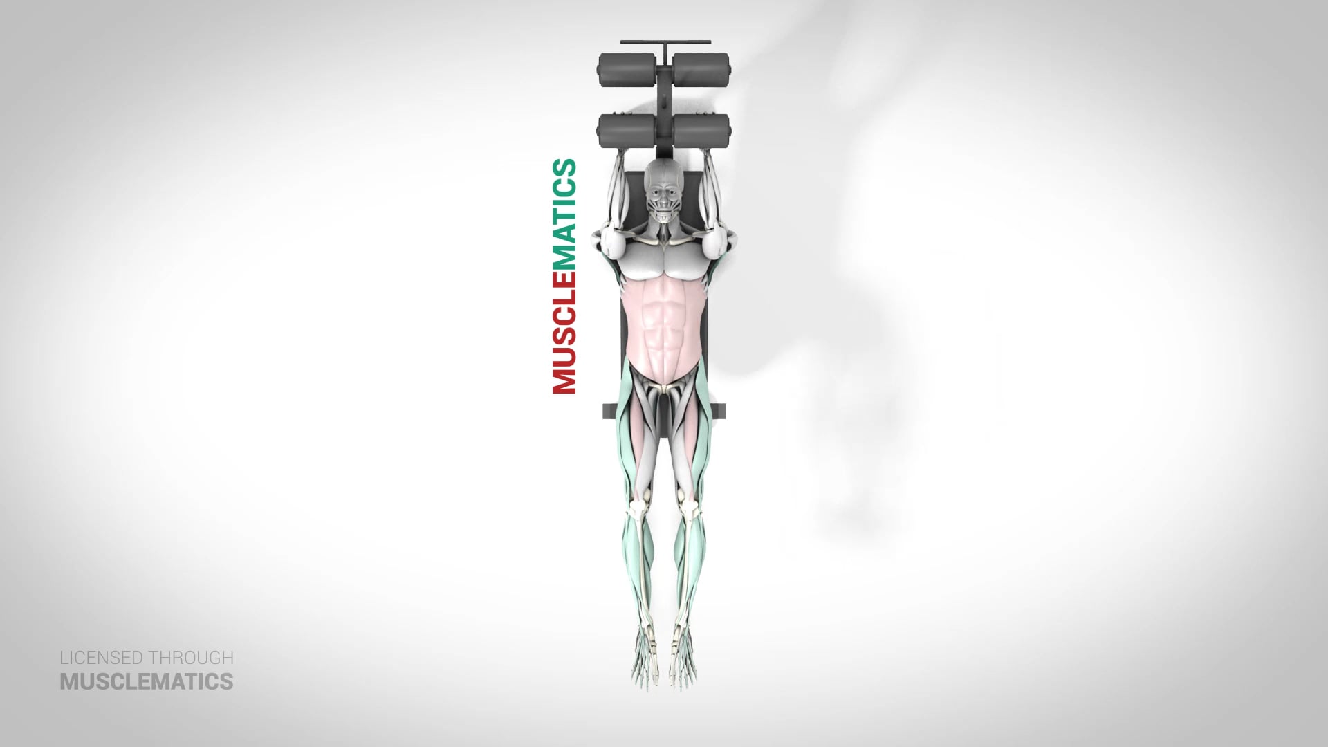 Incline Leg Raises - (View 1)