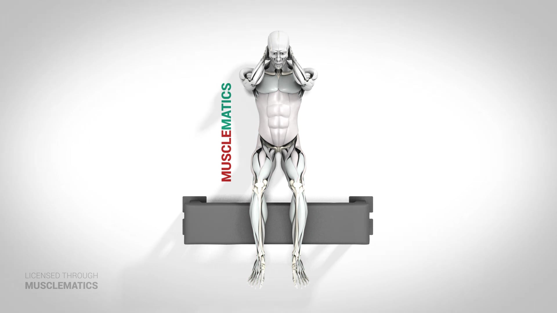 Calves Over Bench Sit-Ups - (View 1)