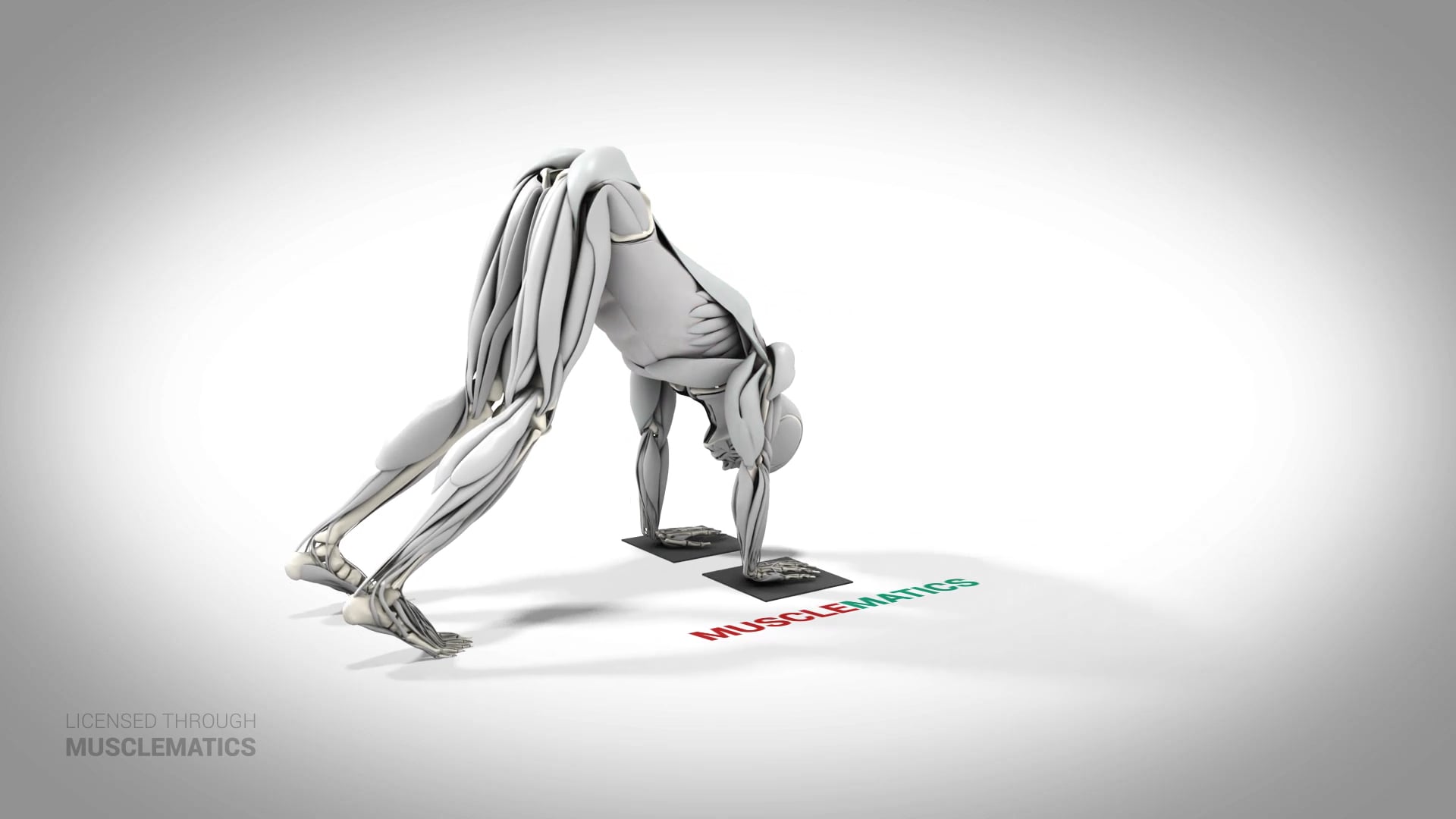 Standing Rollout - (All Views)