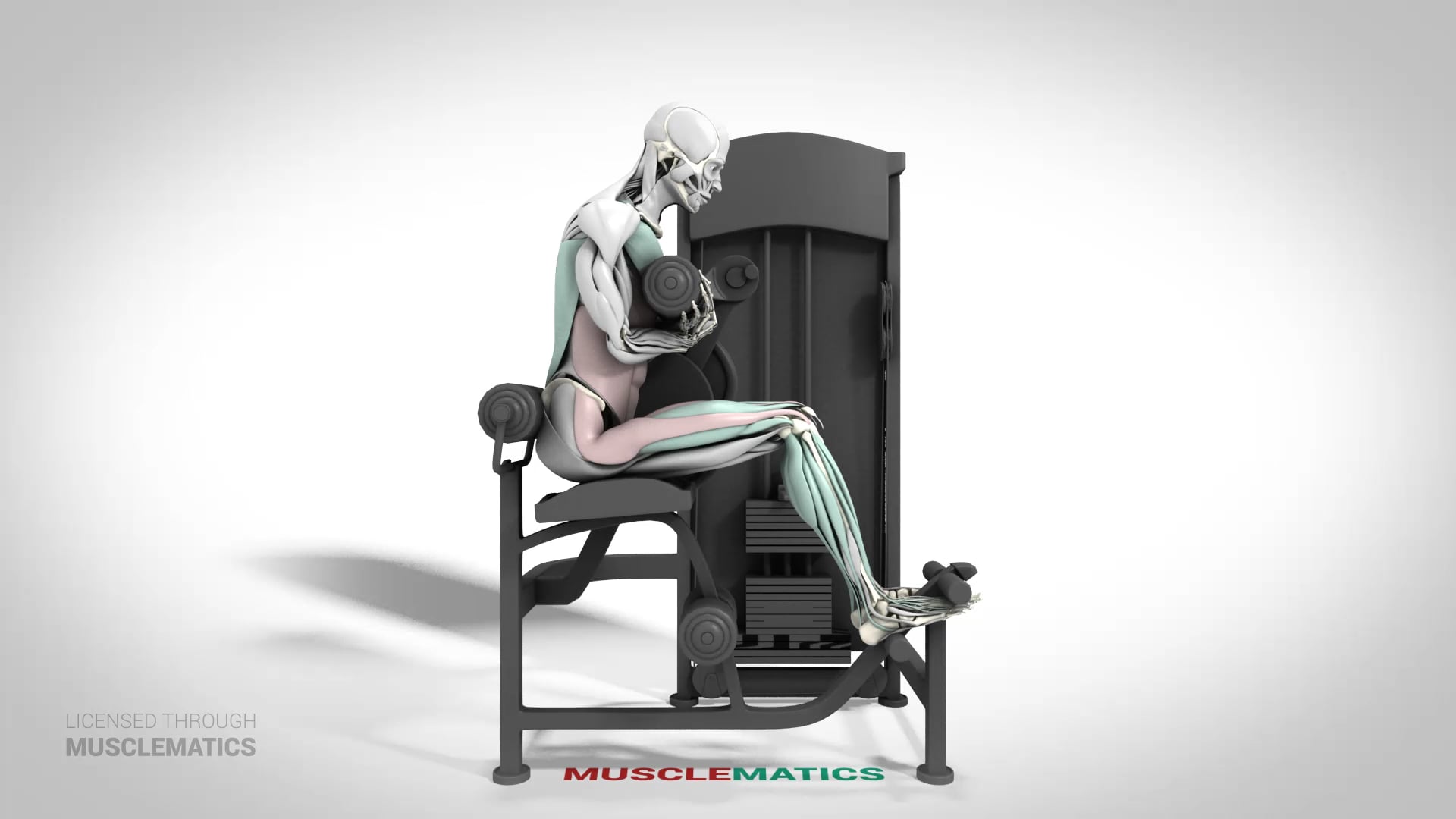 Machine Crunches - (View 2)