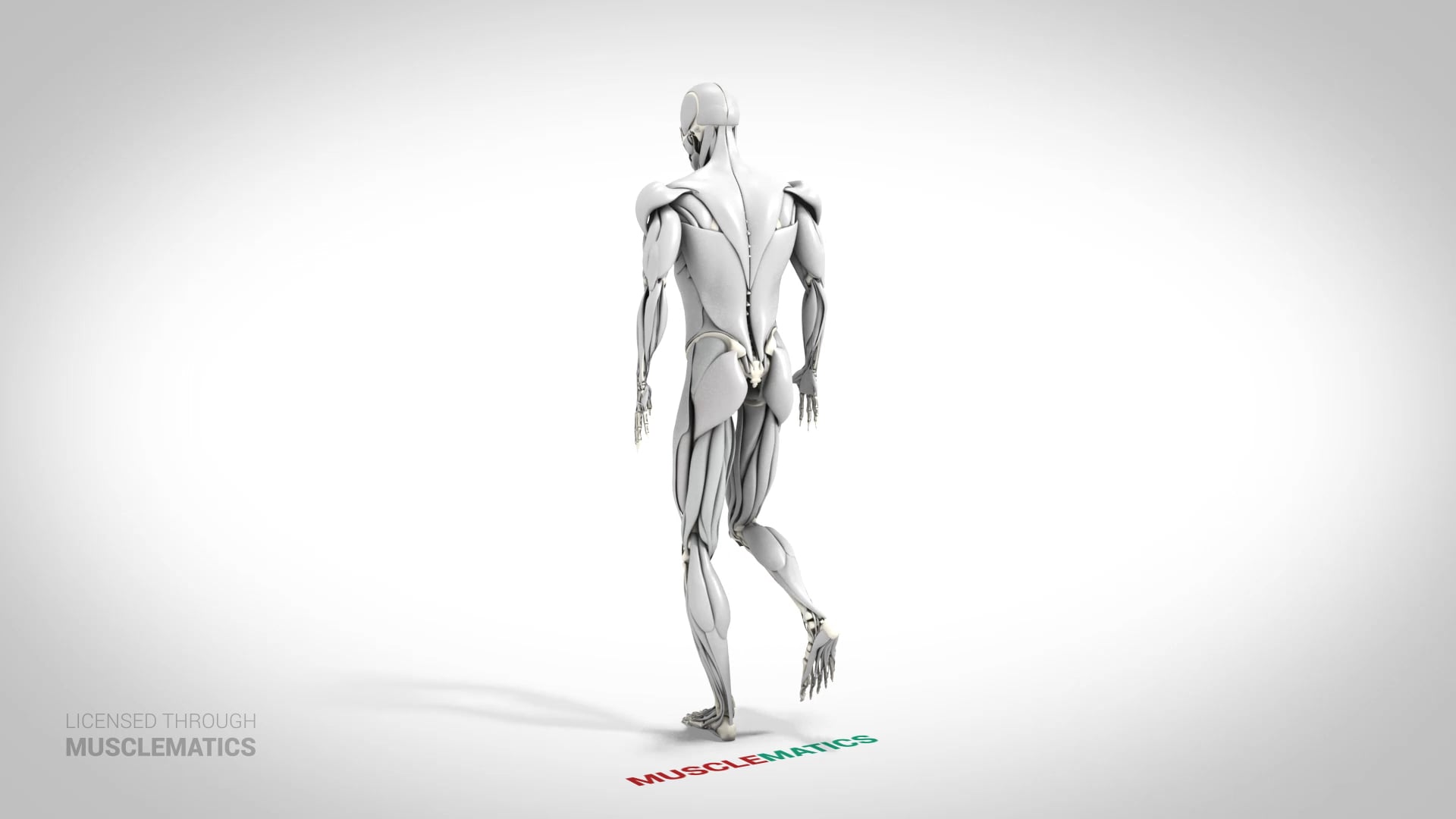 Skater Squat - (View 3) - LEFT