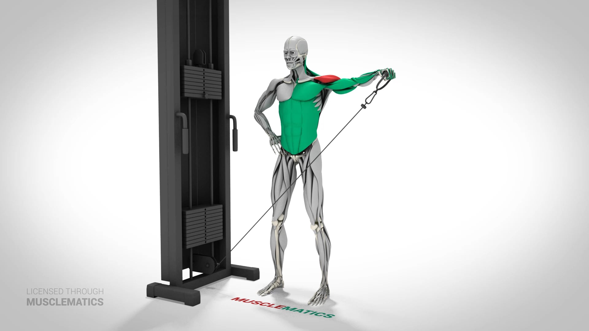 Low-Pulley Lateral Raises - (View 3) - LEFT