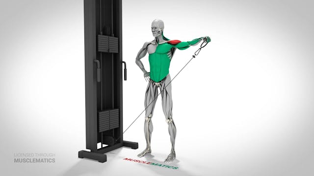 Low-Pulley Lateral Raises - (View 3) ...