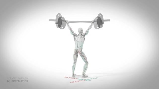 Overhead Squat - (All Views)