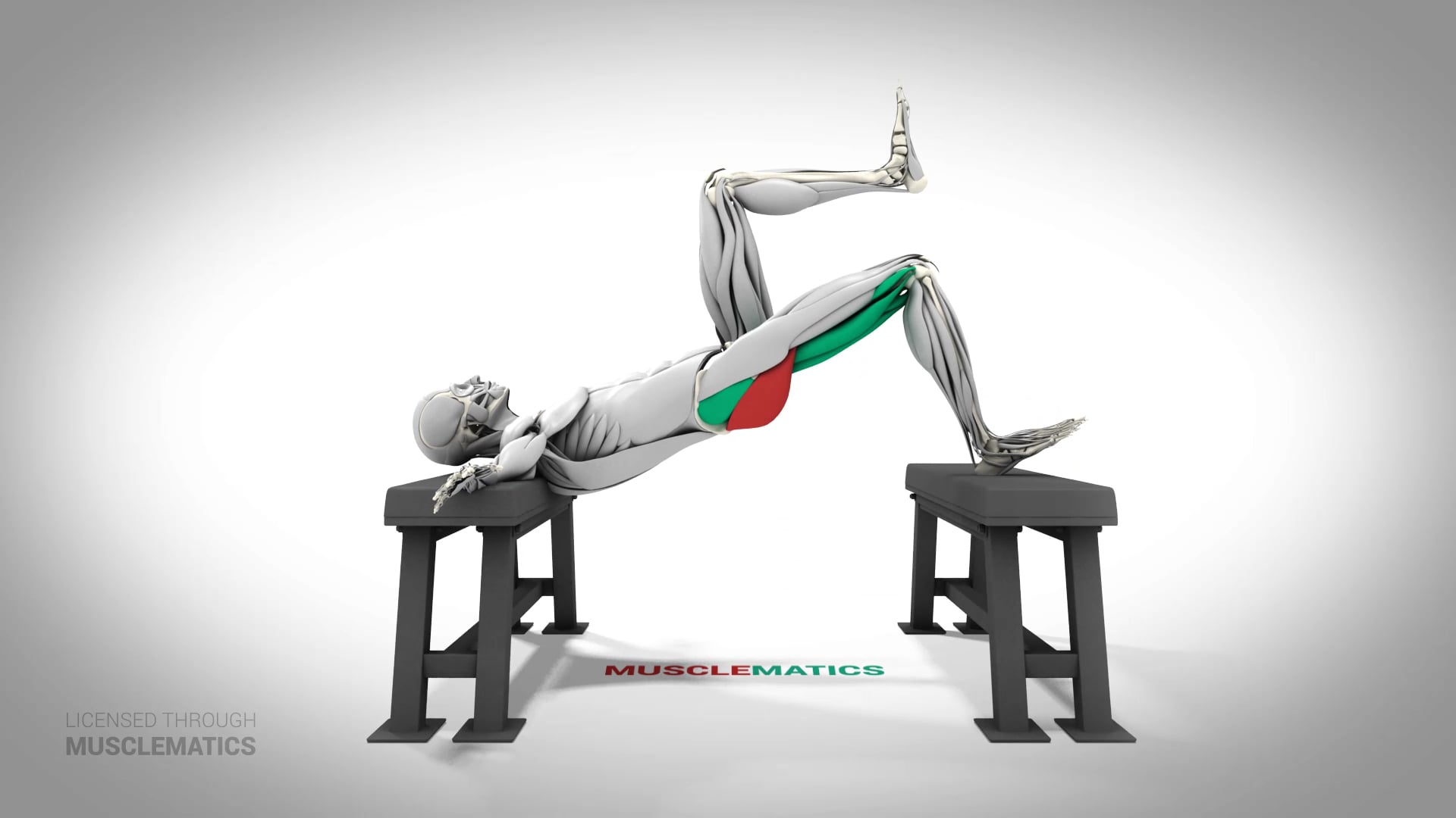Single-Leg Elevated Hip Thrust - (All Views)