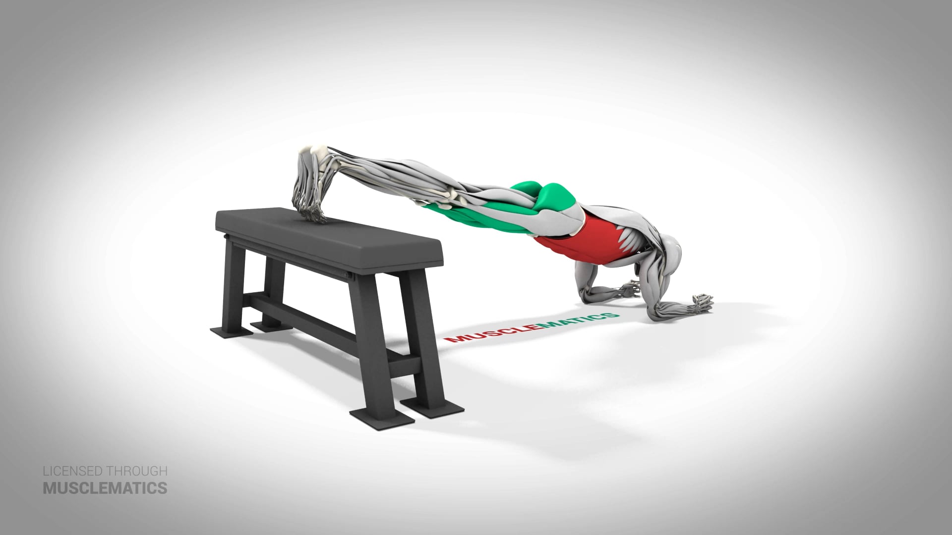 Decline Plank - (All Views)