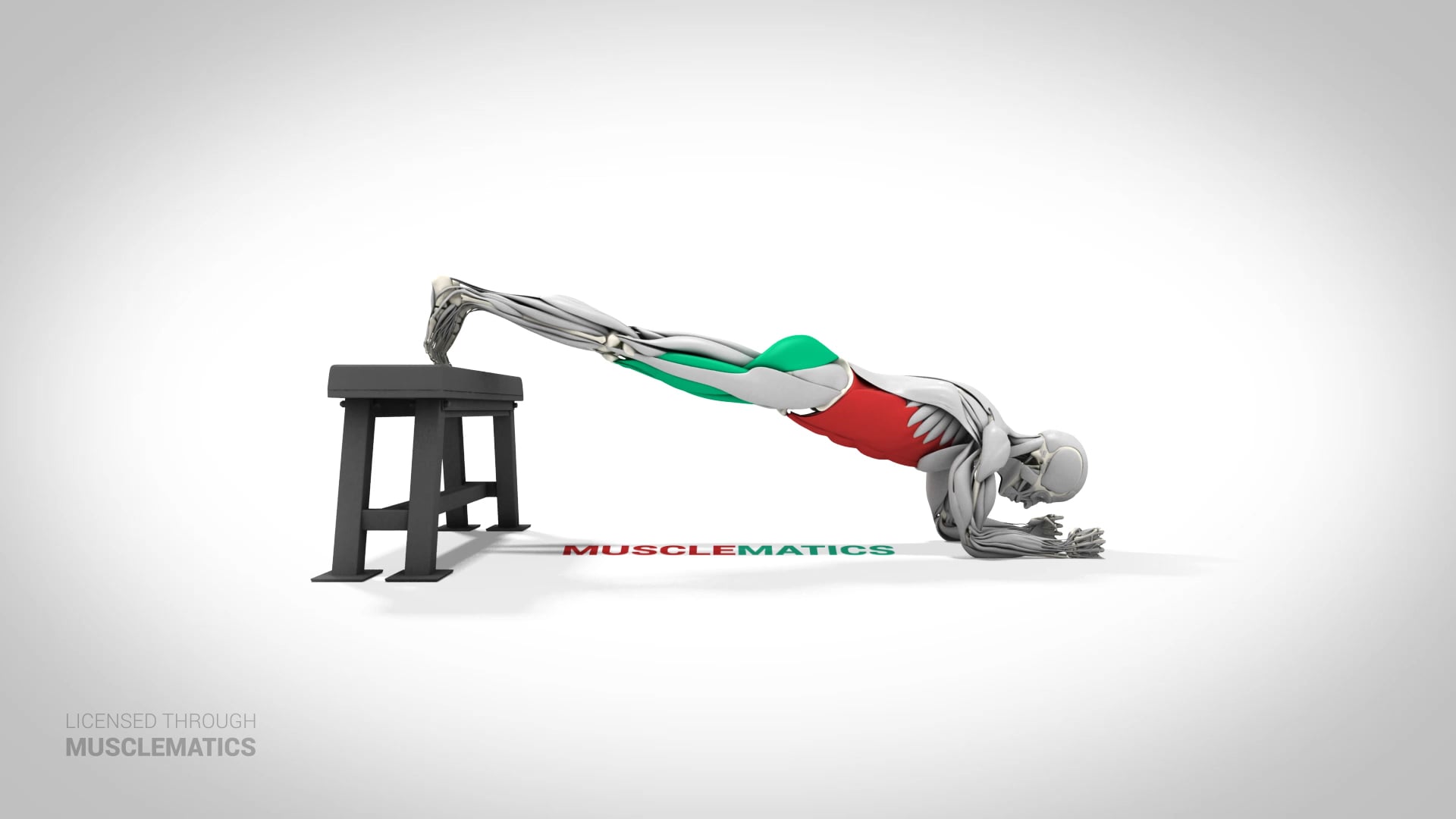 Decline Plank - (View 1)