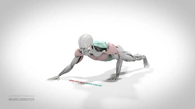 Self-Assisted One-Arm Push-Up - (View...