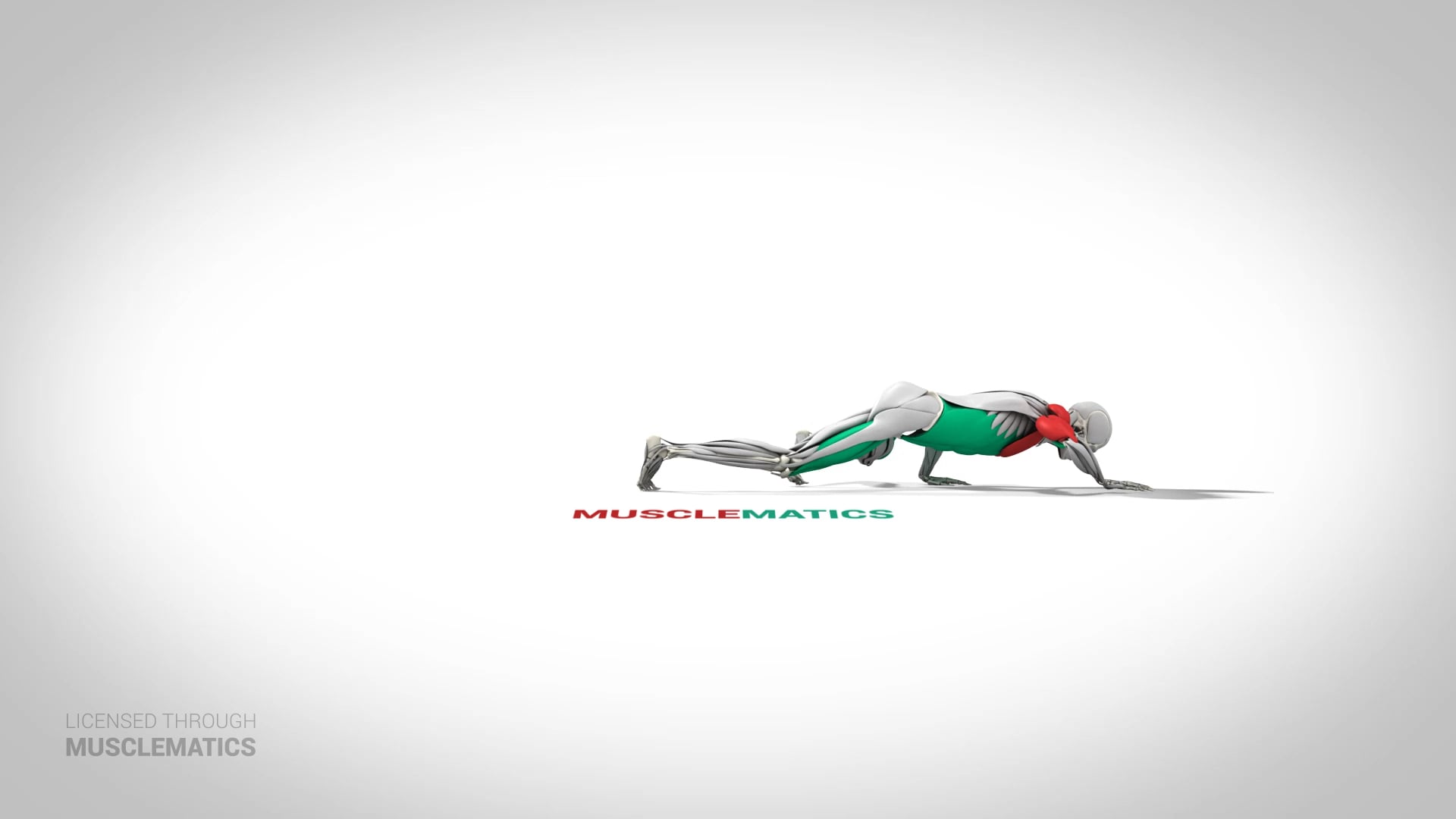 Crocodile Crawl - (View 1)