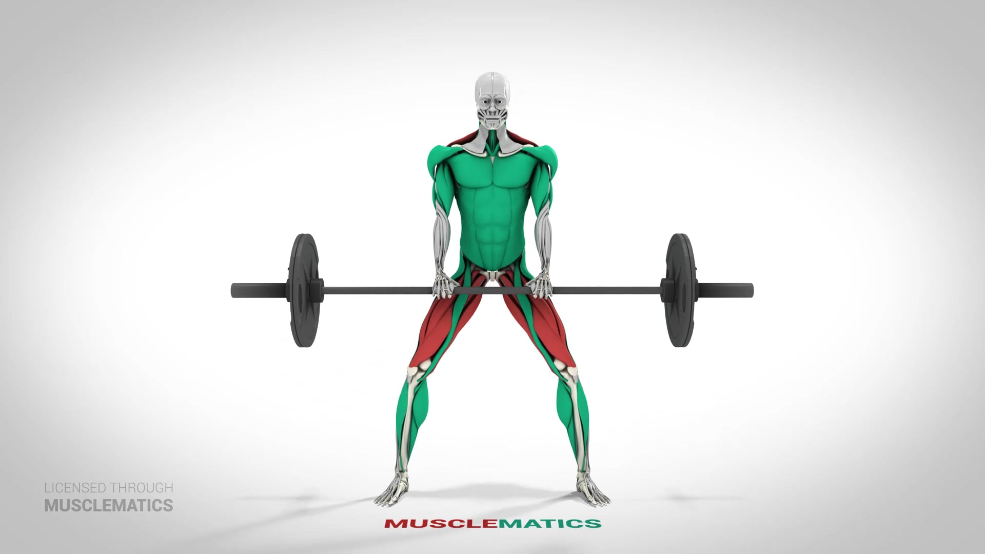 Sumo Deadlifts - (View 1)