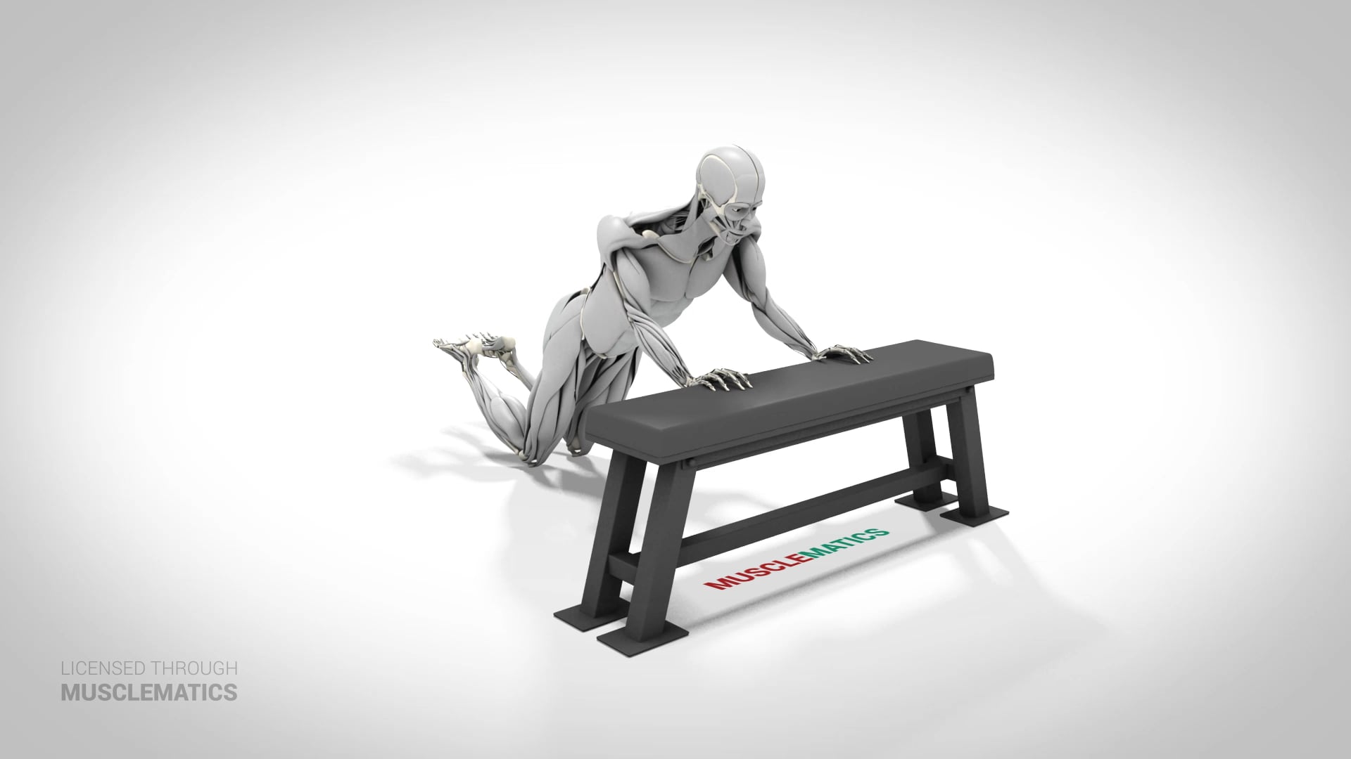 Bodyweight Triceps Extension On Knees - (View 3)