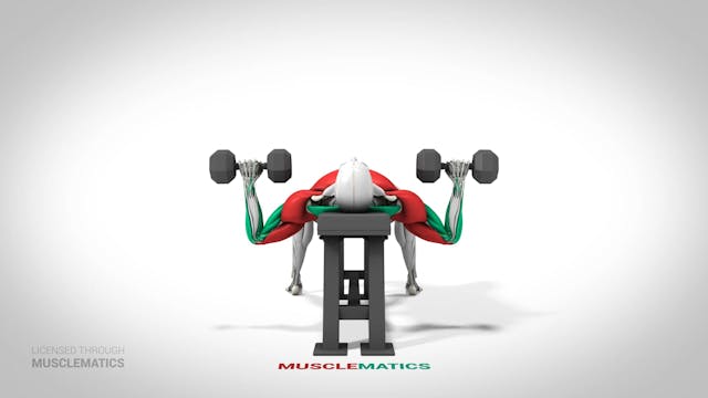 Dumbbell Presses - (View 3)