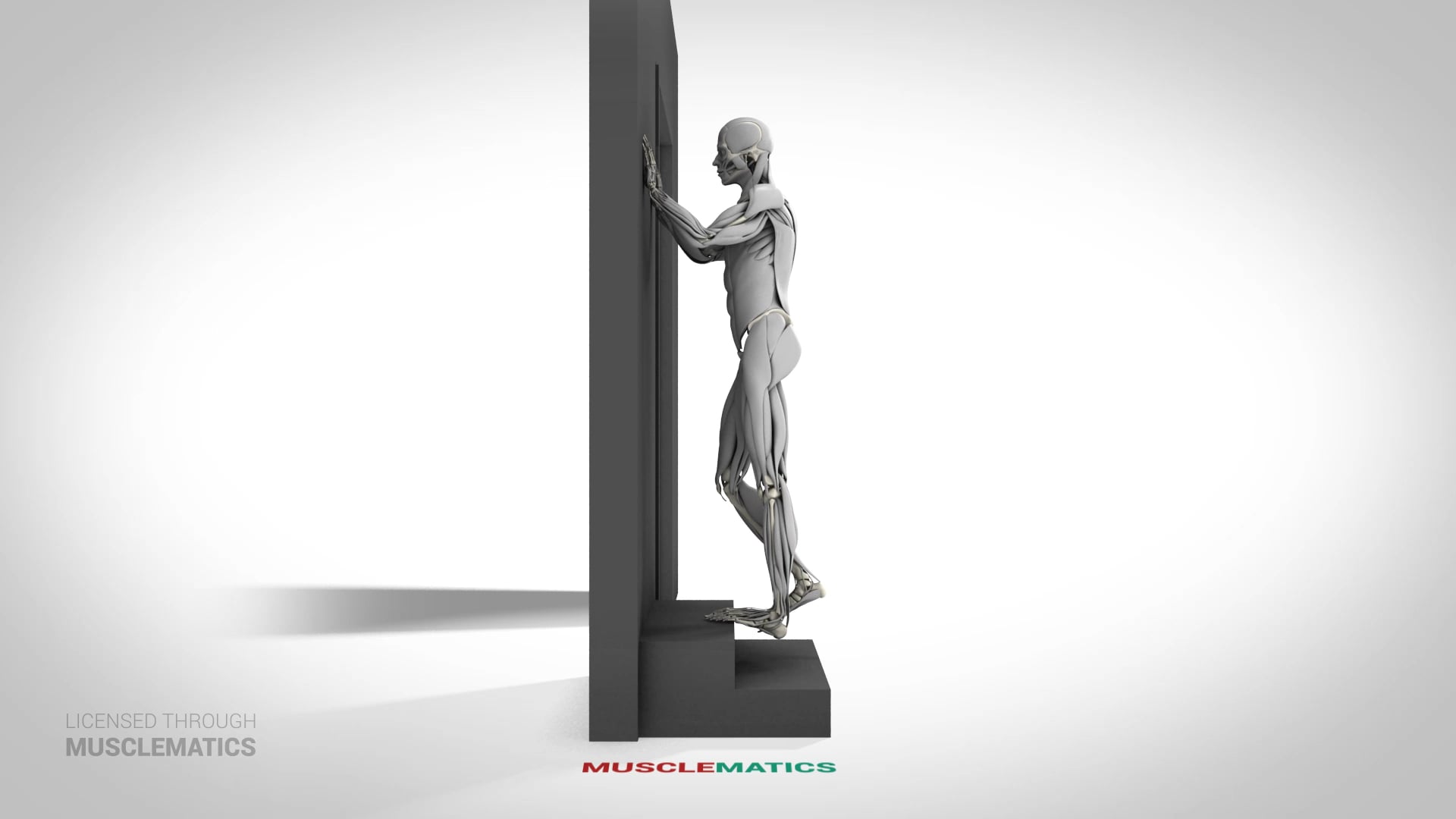 Single-Leg Elevated Calf Raise - (View 2) - LEFT